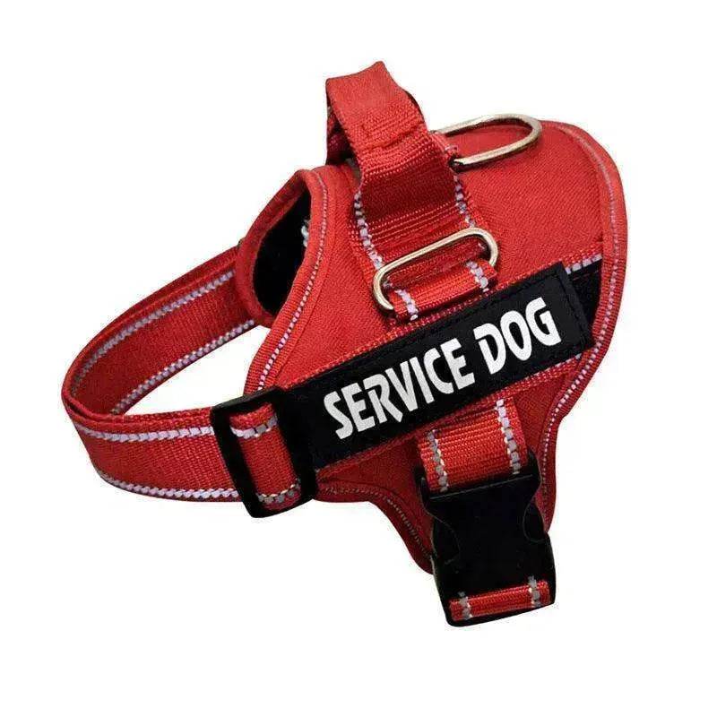 High Quality Personalization Of Pet Chest Strap / leash