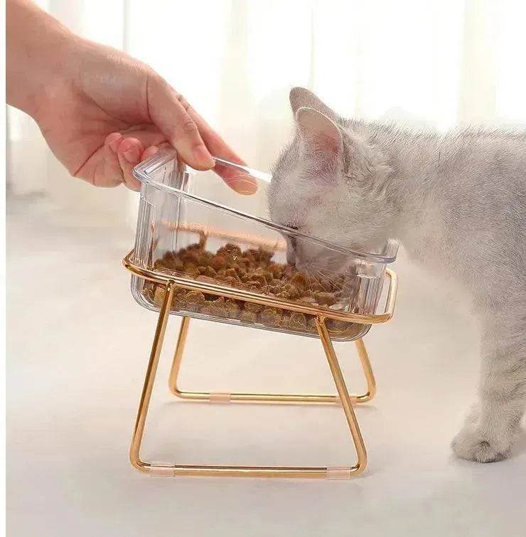 Neck-protecting sloped pet feed bowl Stand